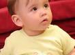 What do Babies' Understand?
